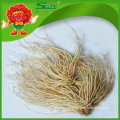 Yunnan allium hookeri supplier high quality garlic products